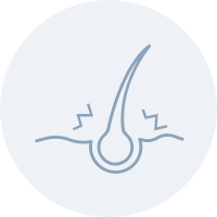 毛穴や頭皮トラブルの可視化画面